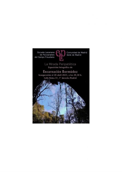 Cartel actividad